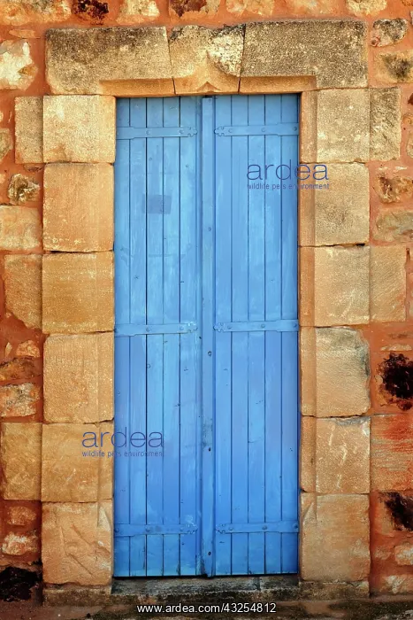 : Color door, Roussillon, France : Color door, Roussillon, France