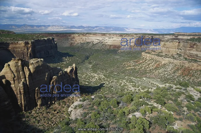 : Colorado National Monument : Colorado National Monument