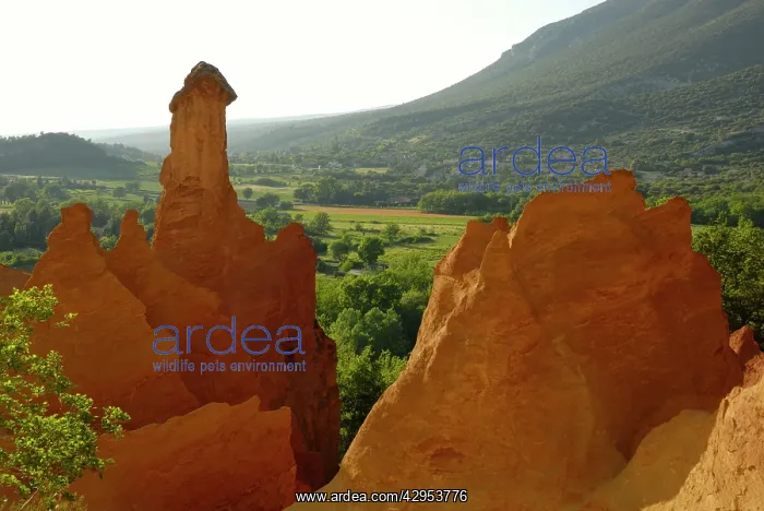 : Colorado Provencal : Colorado Provencal