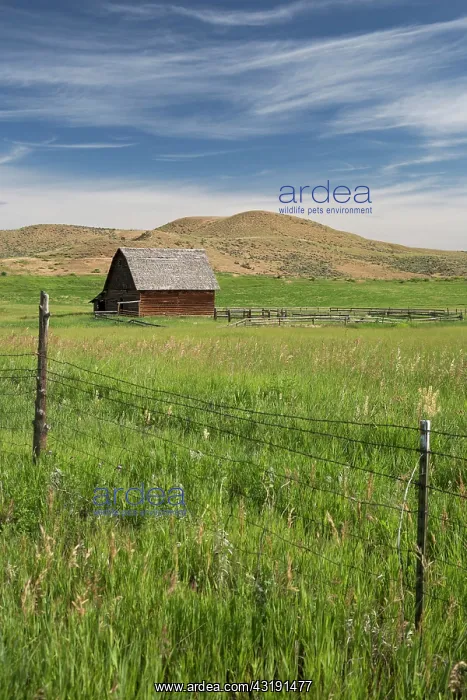 : Colorado ranch, Axial, Colorado, USA, North America : Colorado ranch, Axial, Colorado, USA, North America