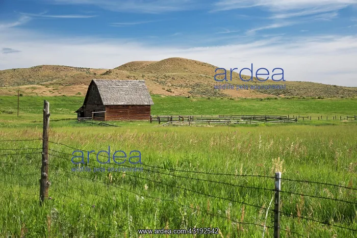 : Colorado ranch, Axial, Colorado, USA, North America : Colorado ranch, Axial, Colorado, USA, North America