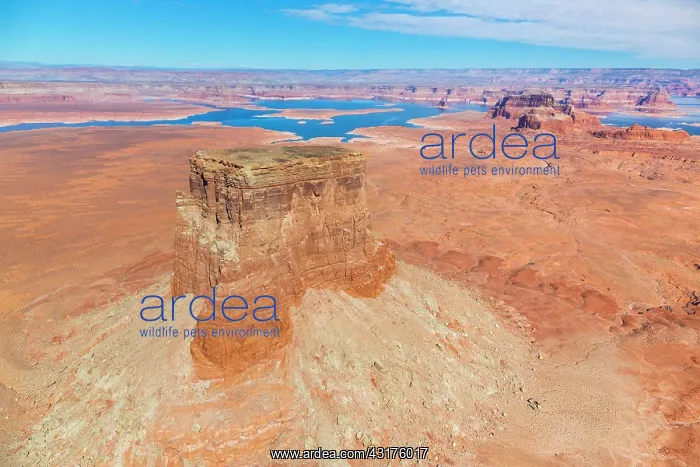: Colorado River, Lake Powell, Page, Arizona, Usa : Colorado River, Lake Powell, Page, Arizona, Usa