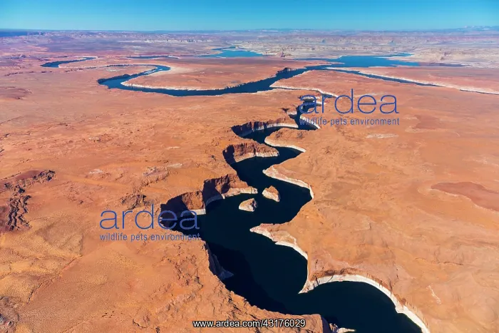 : Colorado River, Lake Powell, Page, Arizona, Usa : Colorado River, Lake Powell, Page, Arizona, Usa