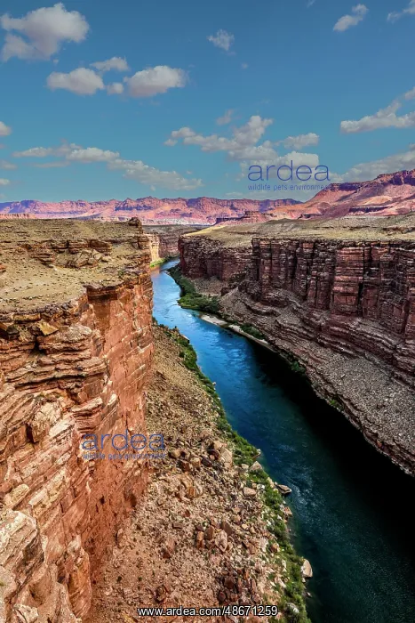 : The Colorado River from the Marble Canyon overlook near : The Colorado River from the Marble Canyon overlook near