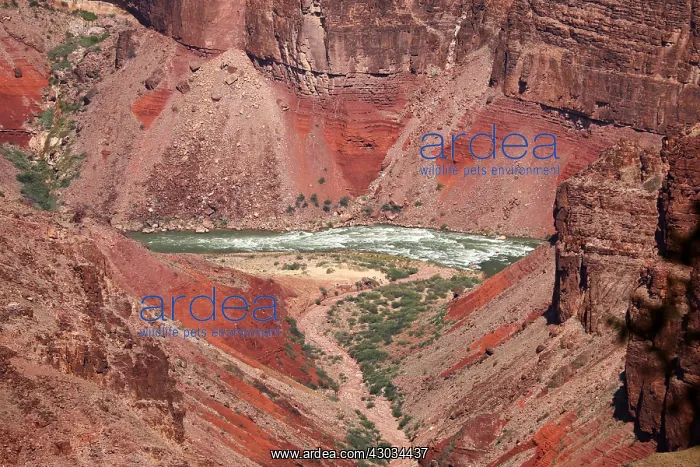  : The Colorado River running through the Grand