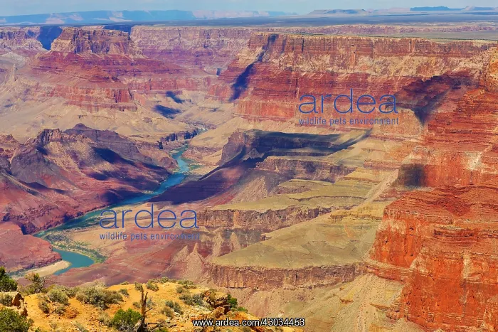  : The Colorado River running through the Grand