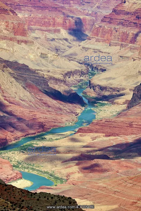  : The Colorado River running through the Grand