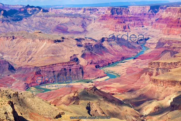  : The Colorado River running through the Grand