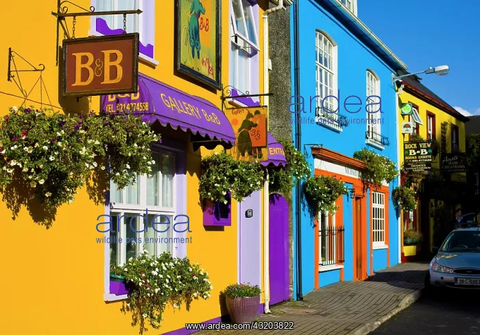 : Colored house facades in Kinsale, Ireland, Europe : Colored house facades in Kinsale, Ireland, Europe
