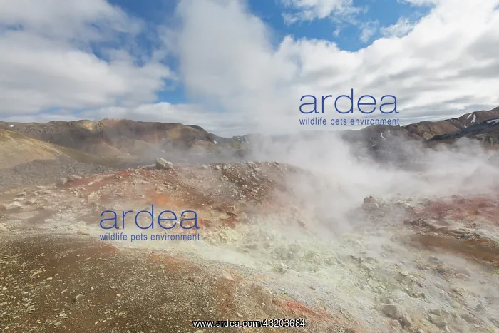 : Colored rhyolite mountains at the Brennisteinsalda : Colored rhyolite mountains at the Brennisteinsalda