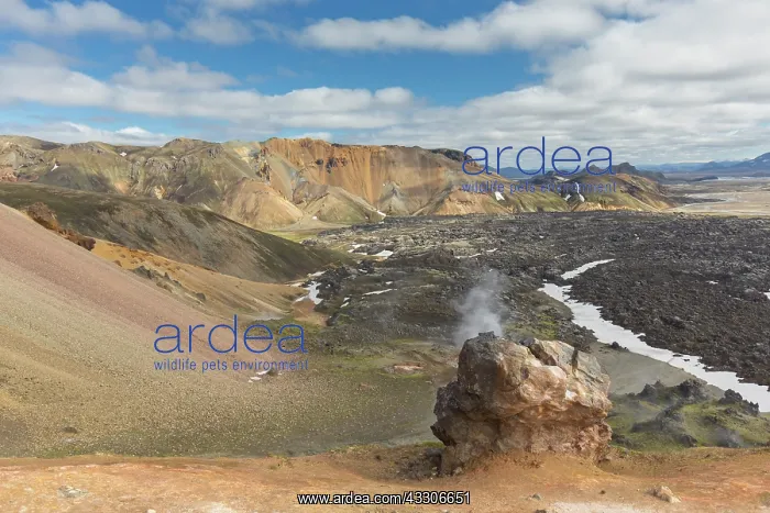 : Colored rhyolite mountains at the Brennisteinsalda : Colored rhyolite mountains at the Brennisteinsalda