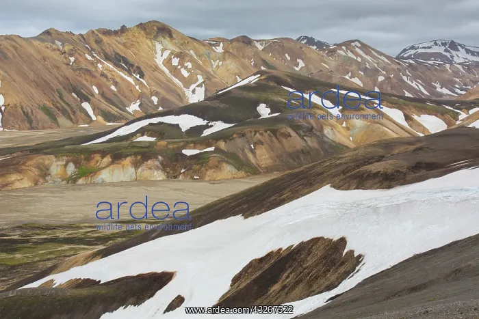 : Colored rhyolite mountains with remains of snow : Colored rhyolite mountains with remains of snow