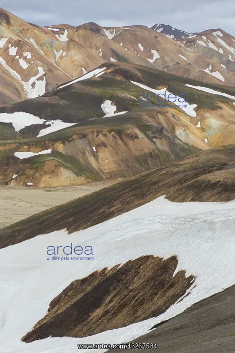 : Colored rhyolite mountains with remains of snow : Colored rhyolite mountains with remains of snow