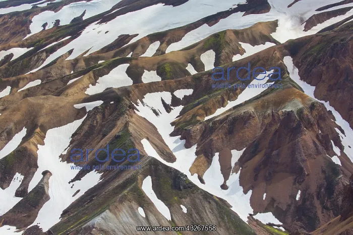 : Colored rhyolite mountains with remains of snow : Colored rhyolite mountains with remains of snow
