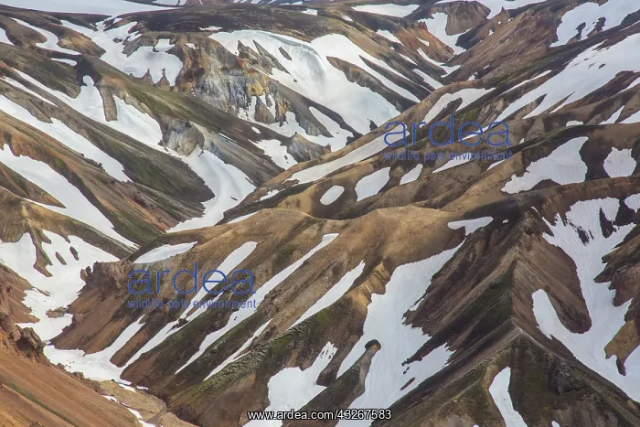 : Colored rhyolite mountains with remains of snow : Colored rhyolite mountains with remains of snow