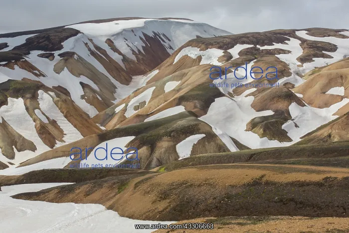  : Colored rhyolite mountains with remains of snow