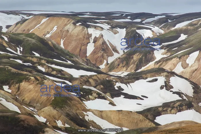 : Colored rhyolite mountains with remains of snow : Colored rhyolite mountains with remains of snow