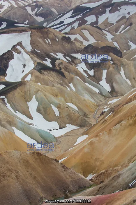 : Colored rhyolite mountains with remains of snow : Colored rhyolite mountains with remains of snow