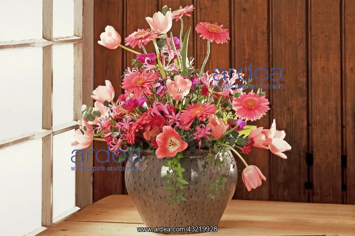 : Colorful bouquet in a vase against a wooden wall : Colorful bouquet in a vase against a wooden wall