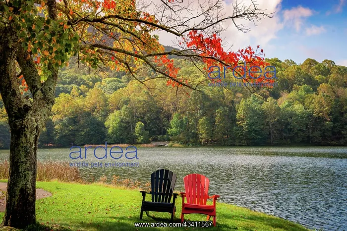 : Colorful chairs on the banks of the lake, Peaks : Colorful chairs on the banks of the lake, Peaks