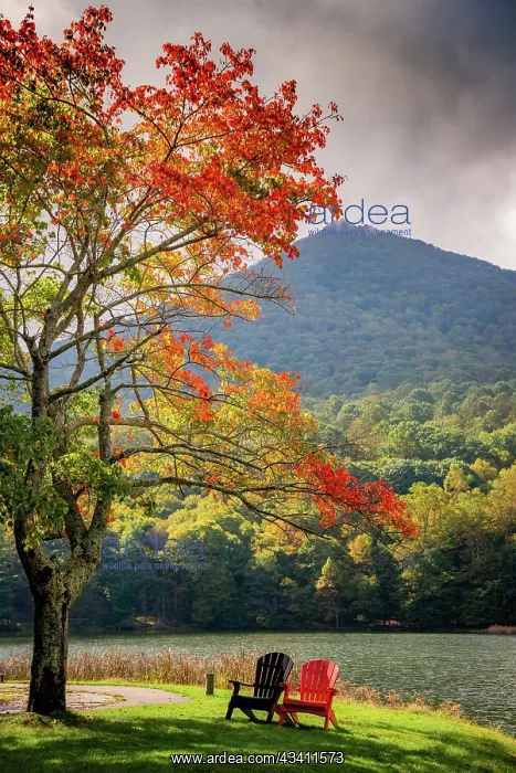 : Colorful chairs on the banks of the lake, Peaks : Colorful chairs on the banks of the lake, Peaks