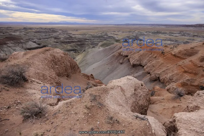 : Colorful deposits of the Chinle Formation exposed at Little Painted Desert County Park near Winslow : Colorful deposits of the Chinle Formation exposed at Little Painted Desert County Park near Winslow