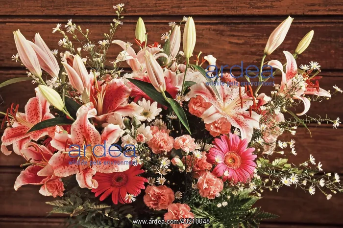 : Colorful flower bouquet with roses, lilies and carnations : Colorful flower bouquet with roses, lilies and carnations
