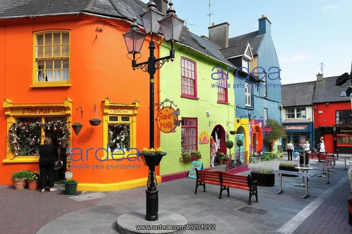: Colorful houses in the center of Kinsale, County : Colorful houses in the center of Kinsale, County