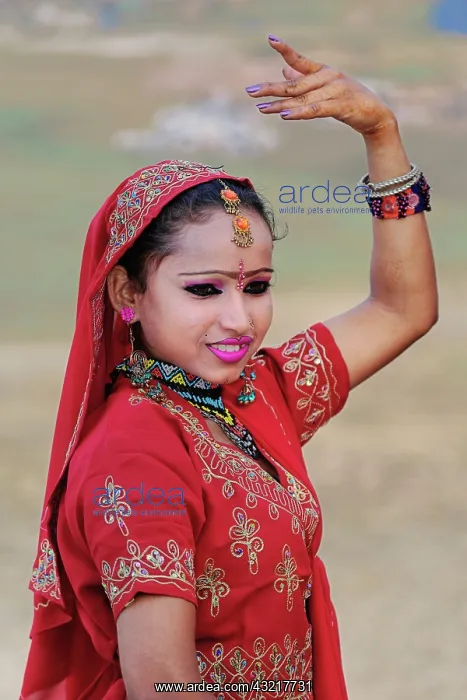 : Colorful Indian girl in traditional sari : Colorful Indian girl in traditional sari
