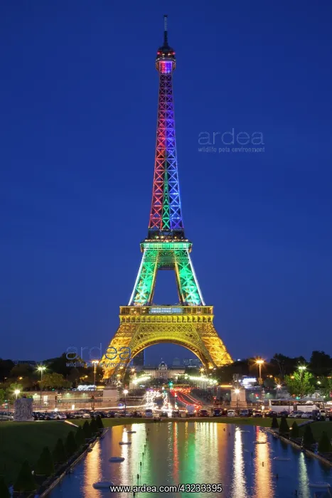 : Colorful light display on the Eiffel Tower : Colorful light display on the Eiffel Tower