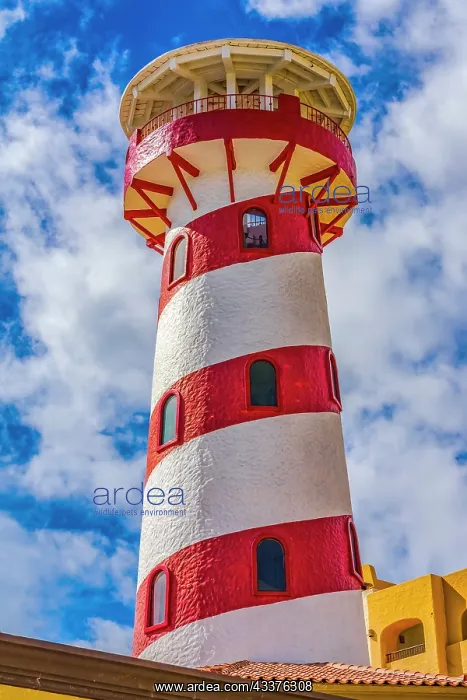 : Colorful lighthouse marina harbor, Cabo San Lucas : Colorful lighthouse marina harbor, Cabo San Lucas