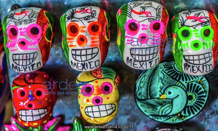 : Colorful Mexican magnets. Day of the Dead handicrafts : Colorful Mexican magnets. Day of the Dead handicrafts