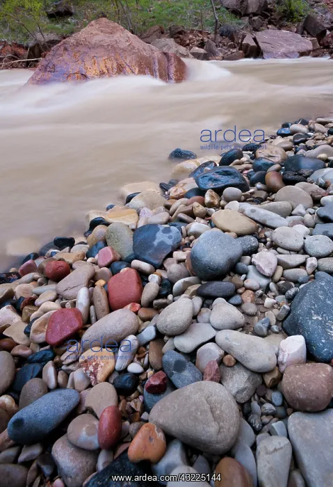 : Colorful rocks on the edge of the rushing : Colorful rocks on the edge of the rushing