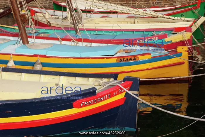 : Colorful Sailboats in the small harbor of : Colorful Sailboats in the small harbor of