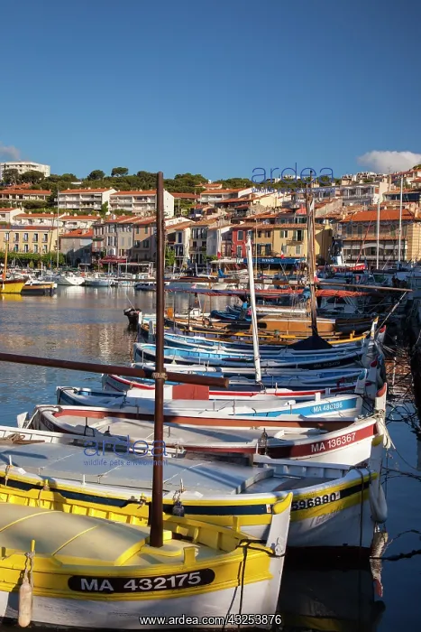 : Colorful Sailboats in the small harbor of : Colorful Sailboats in the small harbor of