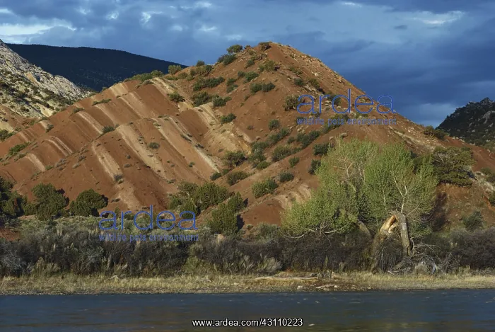 : Colorful Sandstone Layers : Colorful Sandstone Layers