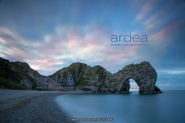 : Colorful sky at dawn over Durdle Door along the : Colorful sky at dawn over Durdle Door along the