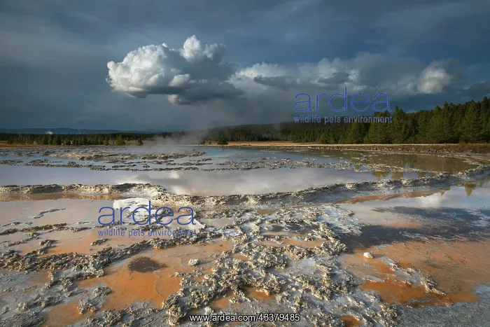 : Colorful travertine formations at Great Fountain : Colorful travertine formations at Great Fountain
