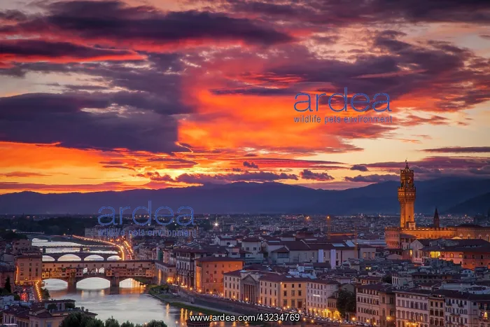 : Colorful view over Florence from Piazale : Colorful view over Florence from Piazale