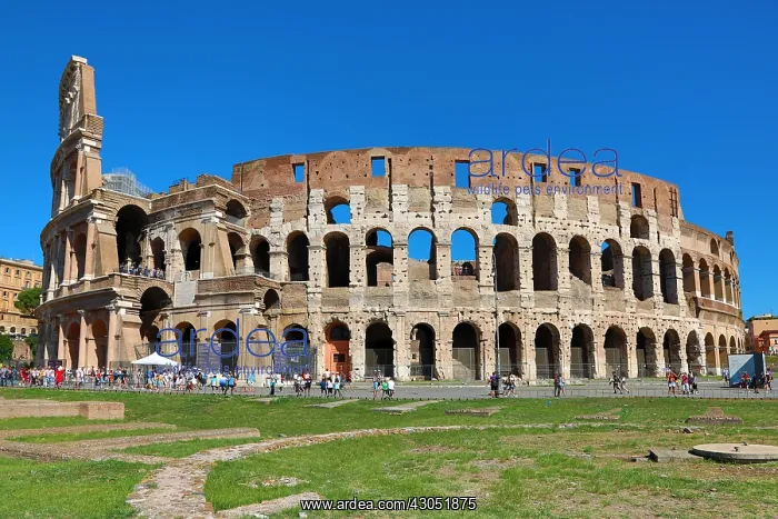 : The Colosseum Roman amphitheatre, Rome, Italy : The Colosseum Roman amphitheatre, Rome, Italy