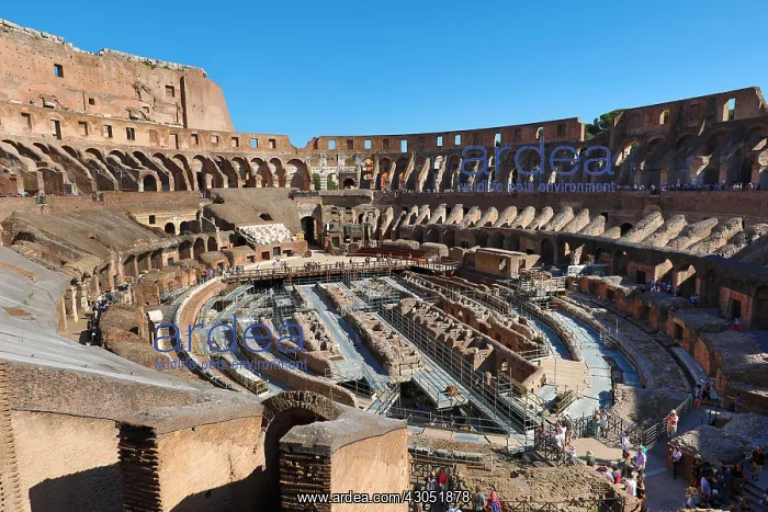  : The Colosseum Roman amphitheatre, Rome, Italy