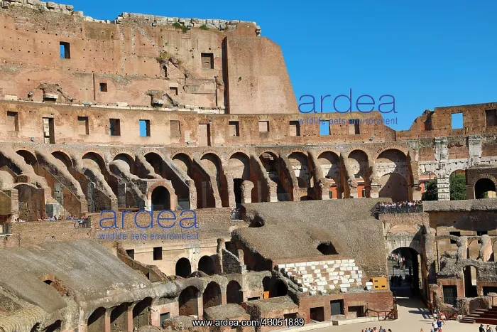 : The Colosseum Roman amphitheatre, Rome, Italy : The Colosseum Roman amphitheatre, Rome, Italy