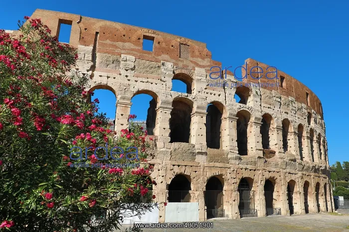 : The Colosseum Roman amphitheatre, Rome, Italy : The Colosseum Roman amphitheatre, Rome, Italy