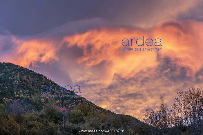  : Colour clouds at sunrise