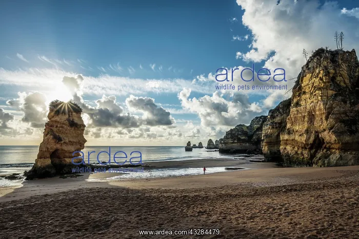 : Coloured cliffs and sunrise at the beach, Praia : Coloured cliffs and sunrise at the beach, Praia