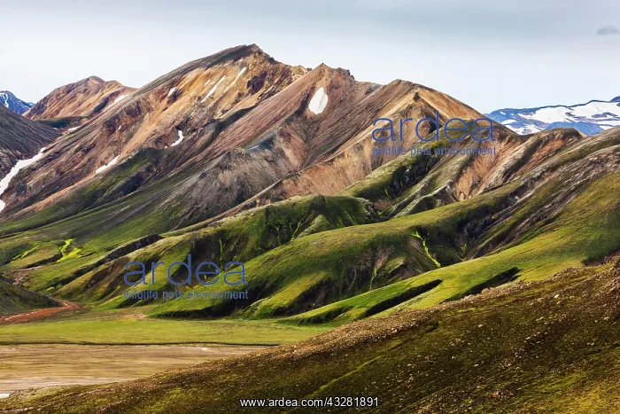  : Coloured rhyolite mountains, Landmannalaugar, Fjallabak