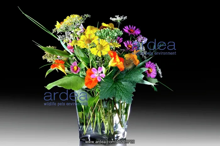 : Colourful bouquet of wild flowers in a glass vase : Colourful bouquet of wild flowers in a glass vase