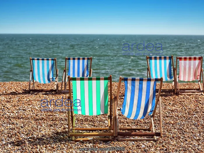 : Colourful deckchairs by the sea, paired folding : Colourful deckchairs by the sea, paired folding