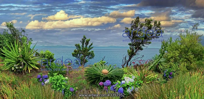 : Colourful garden with a view of the sea and a cloudy : Colourful garden with a view of the sea and a cloudy