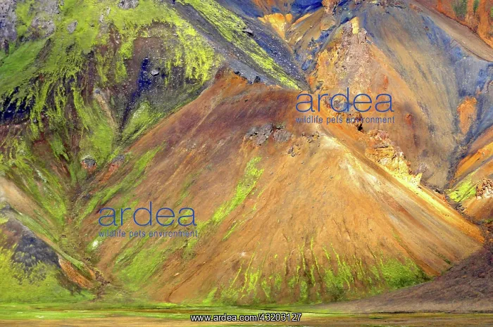 : Colourful highlands in Landmannalaugar, Iceland : Colourful highlands in Landmannalaugar, Iceland